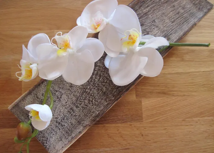 Ferienwohnung Orchidee Am Neckar