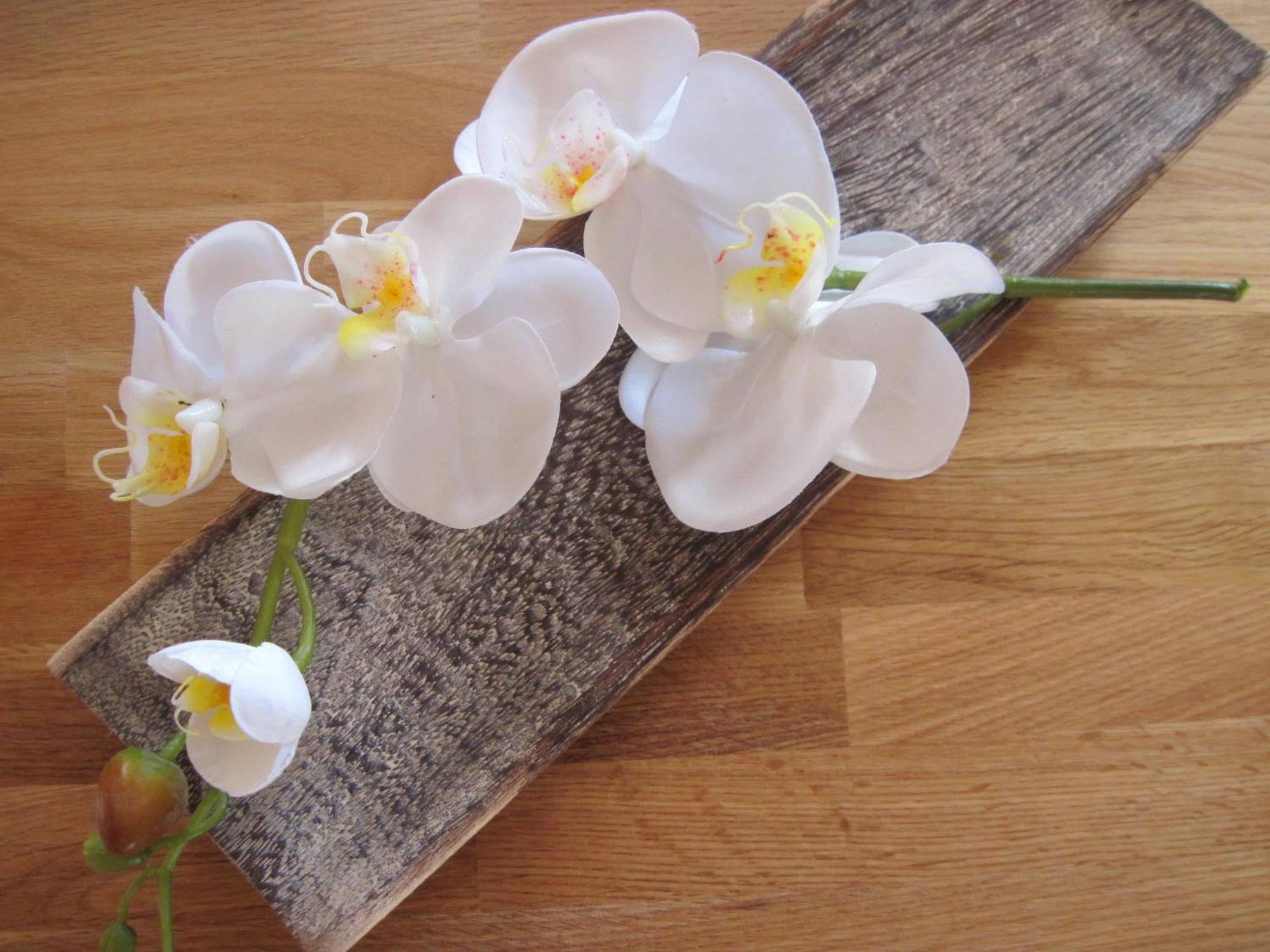 Apartment Orchidee Am Neckar *